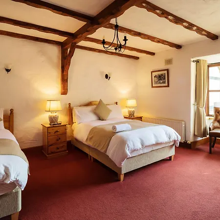 Tudor 3* Laragh