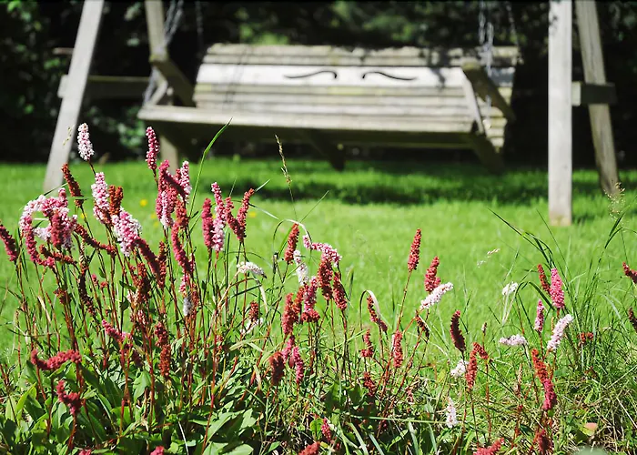 Tudor Bed & Breakfast